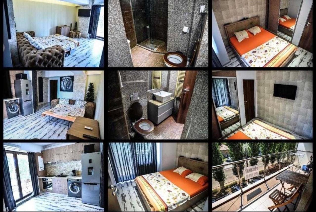 Wild Africa Apartament Mamaia Exterior photo